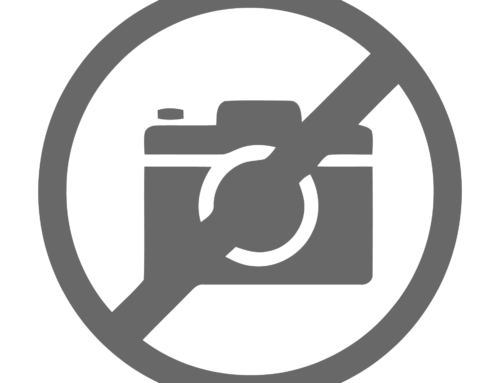 Портфолио 2